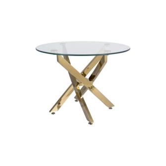 Coffee Table SKTABLE0235